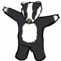 CuriousBadger2 (@badger2curious) 's Twitter Profile