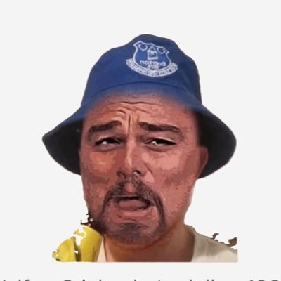 Everton fan and season ticket holder. I will be in south end safe standing to start our new journey at BMD