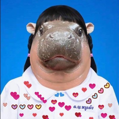 Carpe_Java's profile picture. she/her/they/them