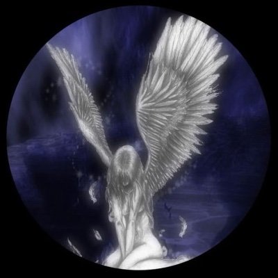 phalaenorchid's profile picture. 