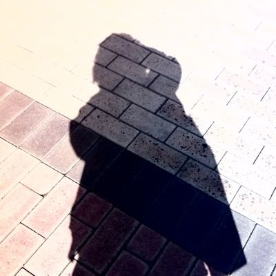 きゃすたー@推しとアルコール無しじゃ生きられない人さんのプロフィール画像