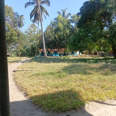 KirongweD's profile picture. Kirongwe is located in Mafia Island at Kirongwe Village 
It Operate on 5 working days from 1:30am to 3:30pm to provide health services