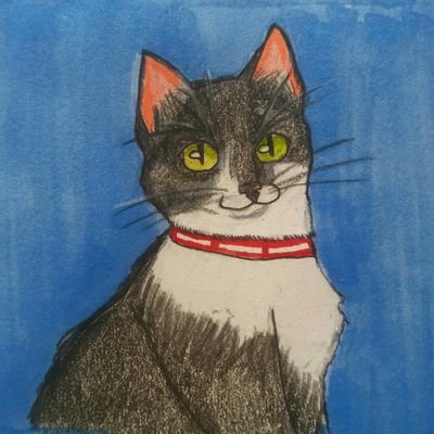 Mayu278's profile picture. 