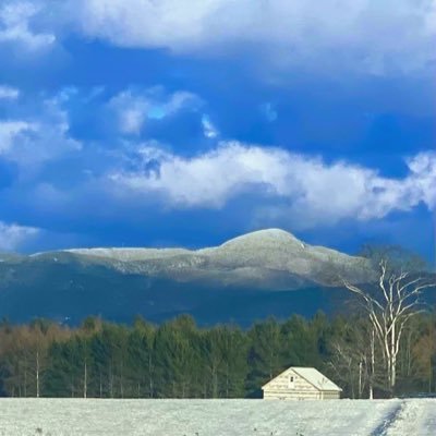 DY499rbfdds's profile picture. On ne peut pas vivre heureux dans le mensonge