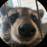 mind (@finnaflex) 's Twitter Profile