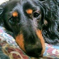 野辺 博 (@tisefy) 's Twitter Profile Photo