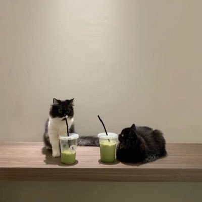 ssereniteaa's profile picture. 