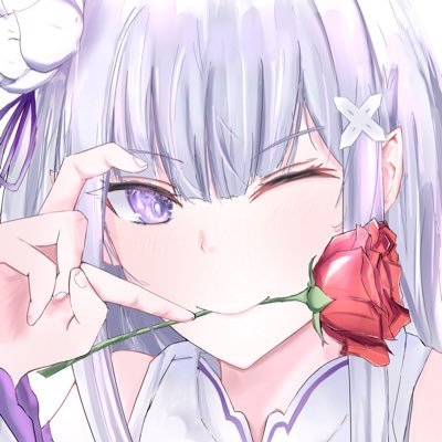 白花/Shirohanaさんのプロフィール画像