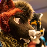 Rocky ๐ TFF (@rocky_theakita) 's Twitter Profile Photo Rocky ๐ TFF (@rocky_theakita) 's Twitter Profile Photo