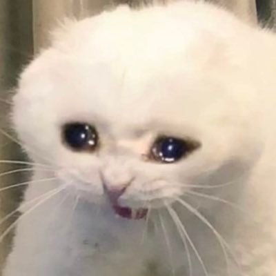 Boss96159926718's profile picture. 