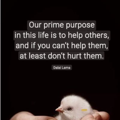 MwanjeEdith's profile picture. 