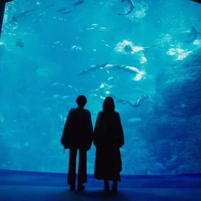 bluejets5465321's profile picture. 🐼✌️🐠🫧