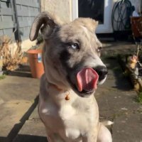 Happyaze © (@happyaze) 's Twitter Profile Photo