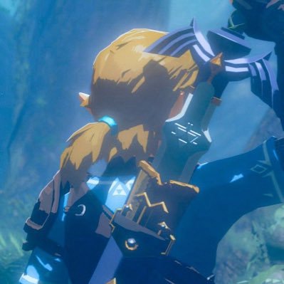zelink enthusiast • twilight princess supremacy • 21 she/her
