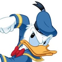 Donald Beez (@beezduck78) 's Twitter Profile Photo Donald Beez (@beezduck78) 's Twitter Profile Photo
