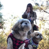 ななみ | LINEマーケ (@_snanami) 's Twitter Profile