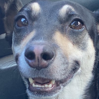 belanabelbel's profile picture. @rosaprofunda_