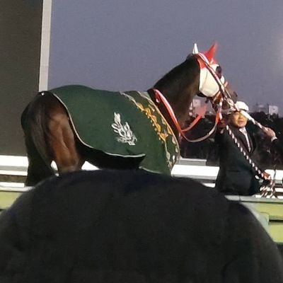 shotaY1012's profile picture. 國學院文・史(20⤴︎︎︎)  グパヤマ出身シポムニギ在住