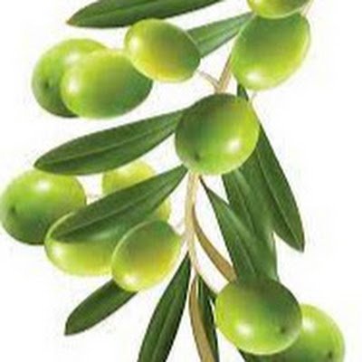 FoodsaftyA59671's profile picture. ن
