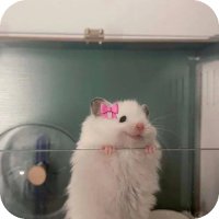 Olivia (@stephaniebala) 's Twitter Profile