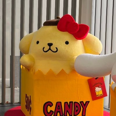 サンリオだいすき🐈🍎🎀娘( 2y )はぽぽぽ推し💛( ぷりん君のことぽぽぽと呼んでるw )無言フォロー失礼します。