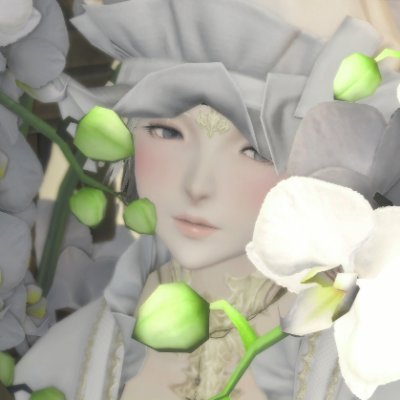 tiaevyn's profile picture. 파판 일기 ｜ 이별은 블언블 (편하게 하세요)