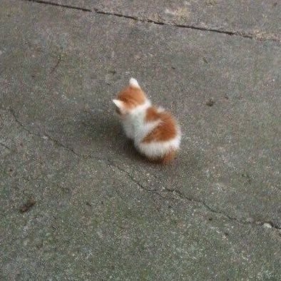 jemsamades's profile picture. new acc same me