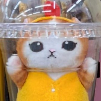 Talt54's profile picture. she/her
lesbian