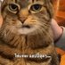 same (@krnb296) Twitter profile photo same (@krnb296) Twitter profile photo