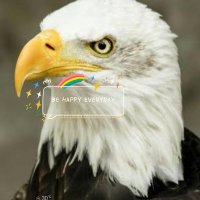 Kumar Kumar (@kumarku41719137) 's Twitter Profile
