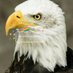 Kumar Kumar (@kumarku41719137) Twitter profile photo Kumar Kumar (@kumarku41719137) Twitter profile photo