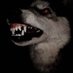User_not_here (@here_not37276) Twitter profile photo User_not_here (@here_not37276) Twitter profile photo