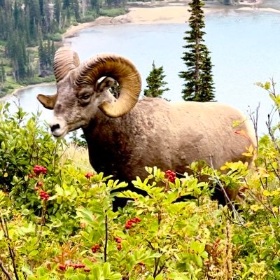 RichRunning's profile picture. 