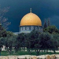 يمني شامخ (@abdallt_f) 's Twitter Profile