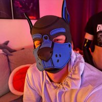pup_leos (@pup_leos_) 's Twitter Profile