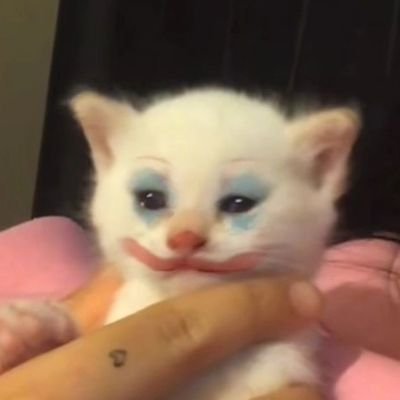 bukanxiaojiecat's profile picture. akun yapping