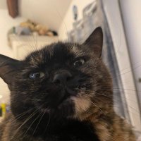 Emma A (@ashforth4672311) 's Twitter Profile