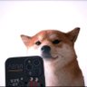 NFTLukey's profile picture. 15 yrs old investing into Crypto NFTs and more!!!