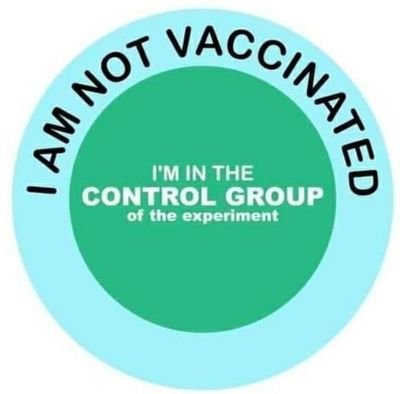 Webbdefense's profile picture. 