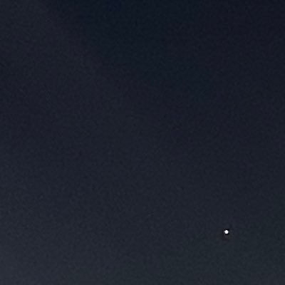 ri___0_1's profile picture. blender/unity