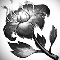 irmeriydk (@irmeriydk) Twitter profile photo