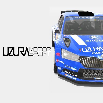 ラリー専門だったけど最近GTカーに浮気しています。RC2(Rally2、Group R4/5)、GT3が好き。メインでプレイしているタイトル:RBR(https://t.co/wSTh4kYLuT)/AC 中の人→@uzura_bluebird