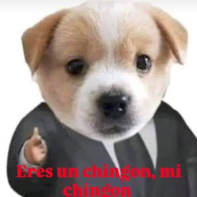 DonAlfonsoConst's profile picture. 