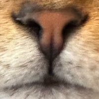 ariaxiz (@ariaxiz) 's Twitter Profile