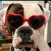 Deebz (@deebzcrypto101) Twitter profile photo Deebz (@deebzcrypto101) Twitter profile photo