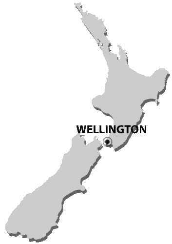 WgtnFuture's profile picture. Wellingtonians who support the debate for change in our region and want to help shape the future. Broader thinking. Greater Possibilities.