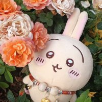 这河里吗 (@ada0707416) 's Twitter Profile