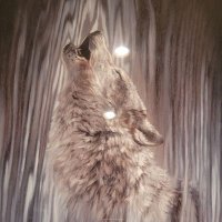 Steven Wolfe (@stevenw98272107) 's Twitter Profile