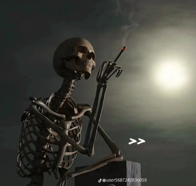 cscon276139's profile picture. 