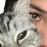 % (@ci7q_) Twitter profile photo